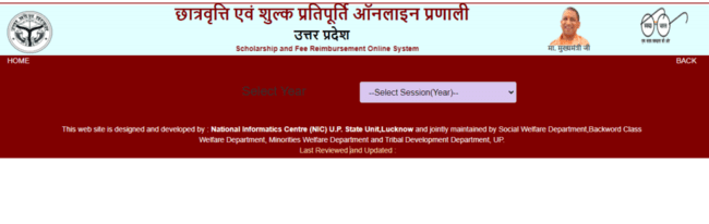 View Report