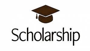 Sasakawa-India Leprosy Foundation Nursing Scholarship