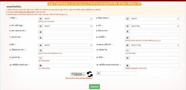 Application Form