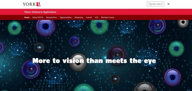 VISTA Distinguished Post-Doctoral Fellowship 2023