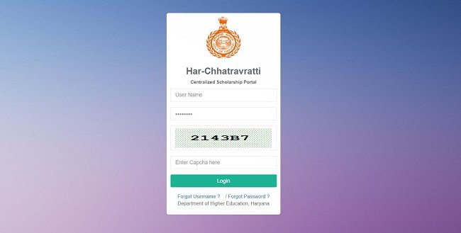 Process To Do Login