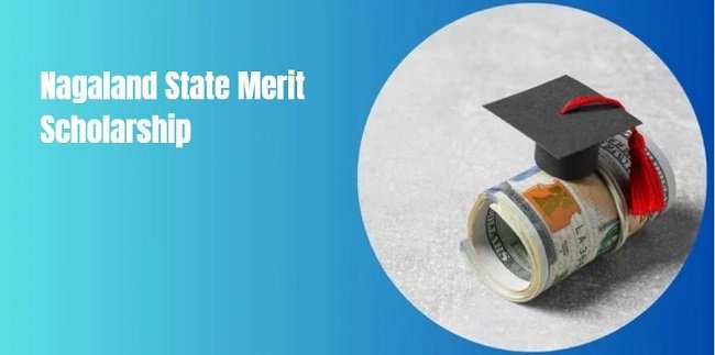Nagaland State Merit Scholarship