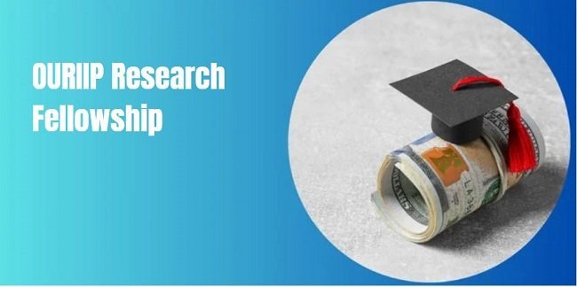 OURIIP Research Fellowship