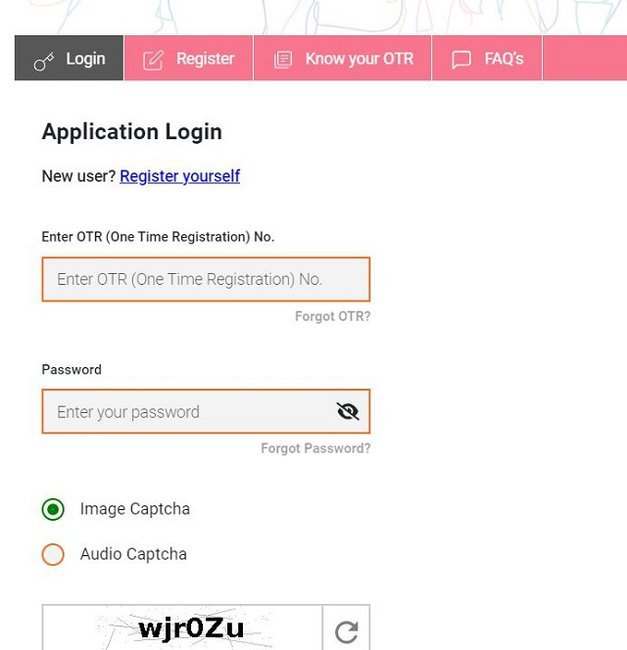 Login Form