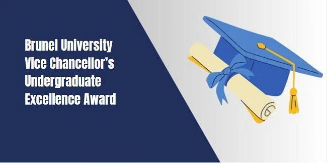 Brunel University Vice Chancellor’s Undergraduate Excellence Award
